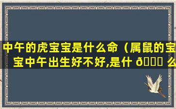 中午的虎宝宝是什么命（属鼠的宝宝中午出生好不好,是什 🐟 么命）